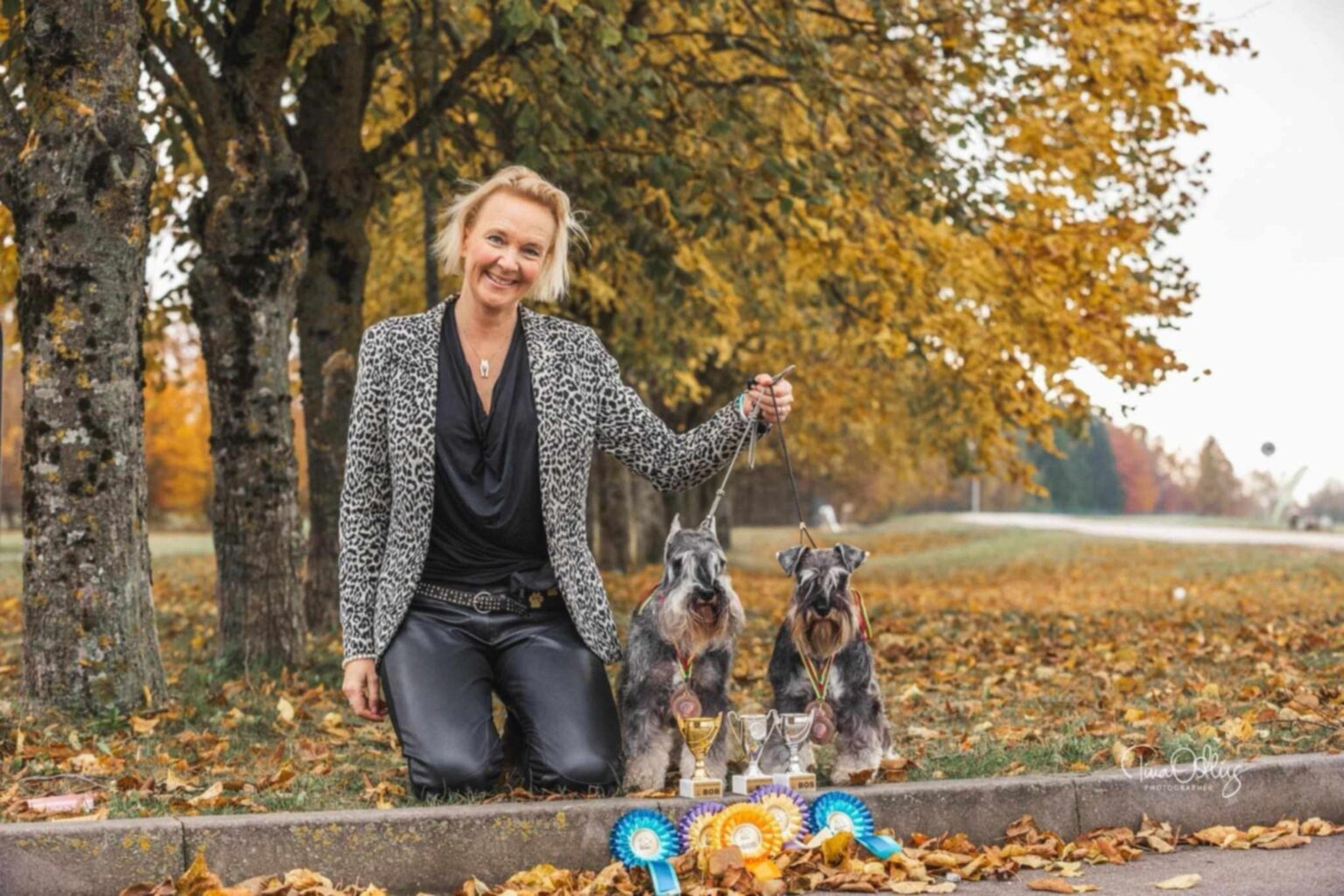 8bd56ee2-a29f-45f3-97c9-cc9b089142c3 8bd56ee2-a29f-45f3-97c9-cc9b089142c3