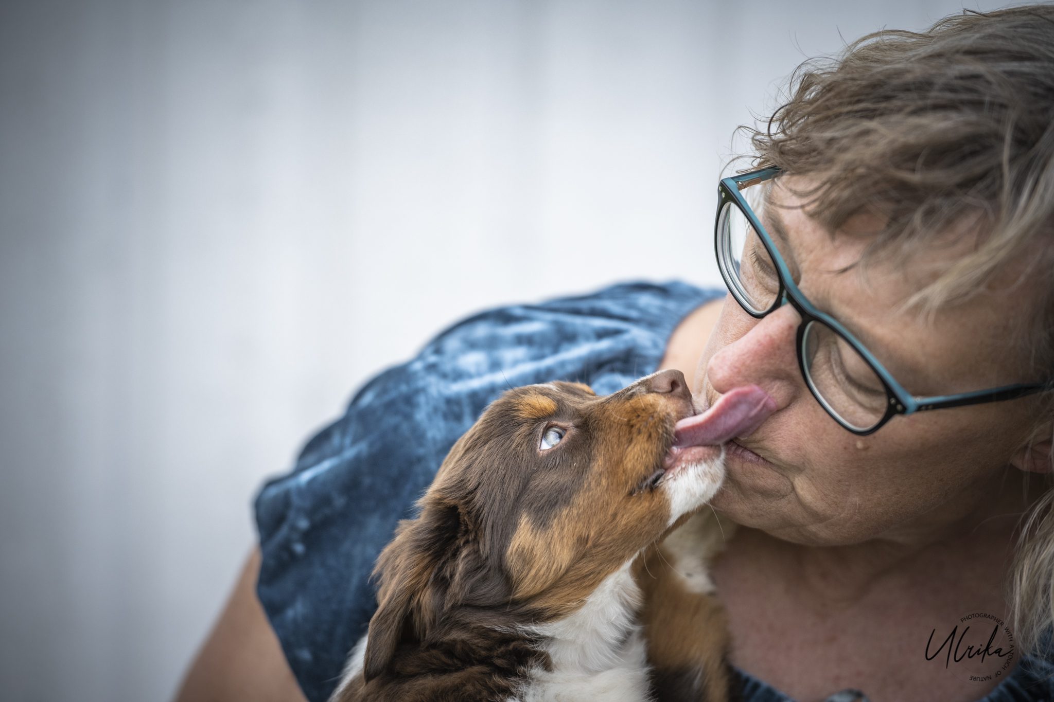 Valpkurs hel termin- Devoted Dog Special -17 aug kl 17,30