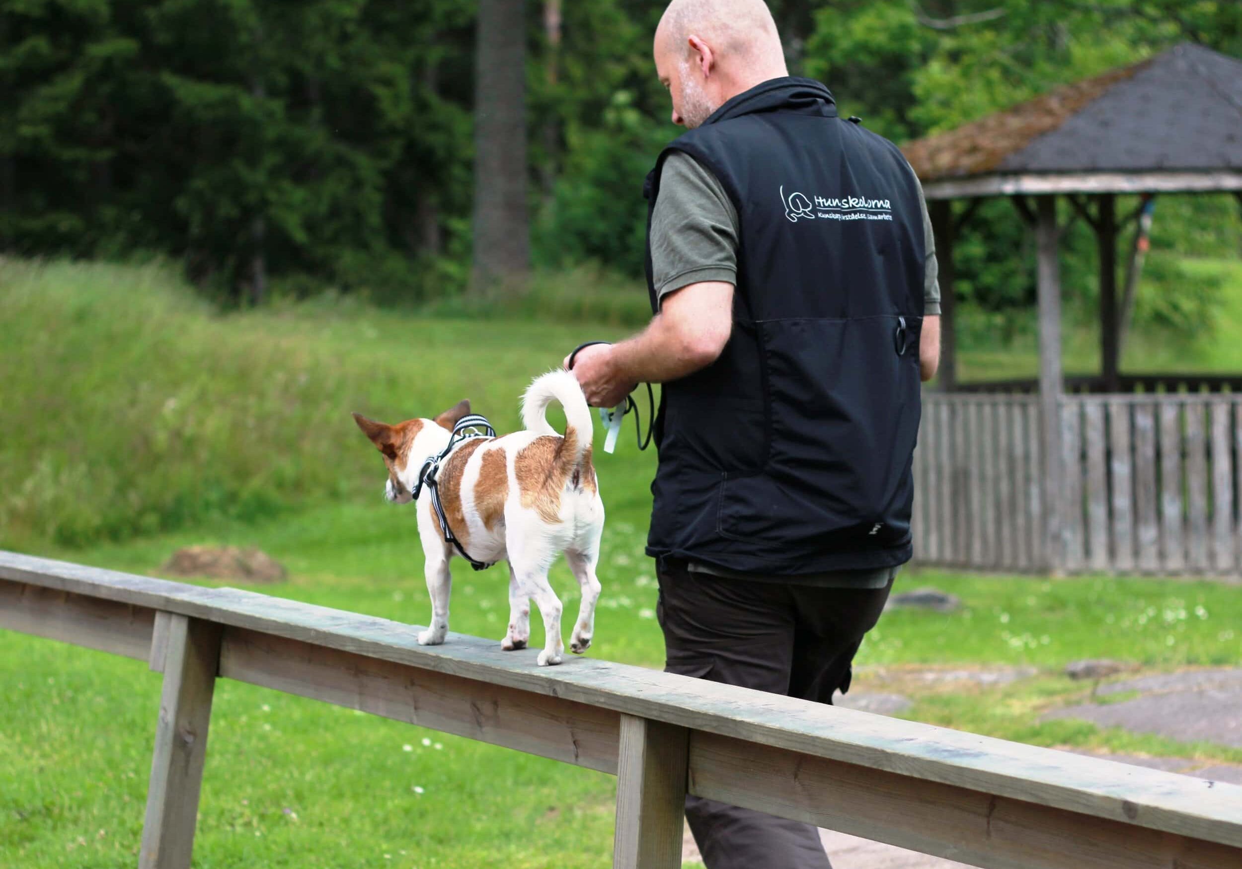 Hunden Rex med husse Krister